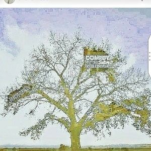 my various shades of poetry